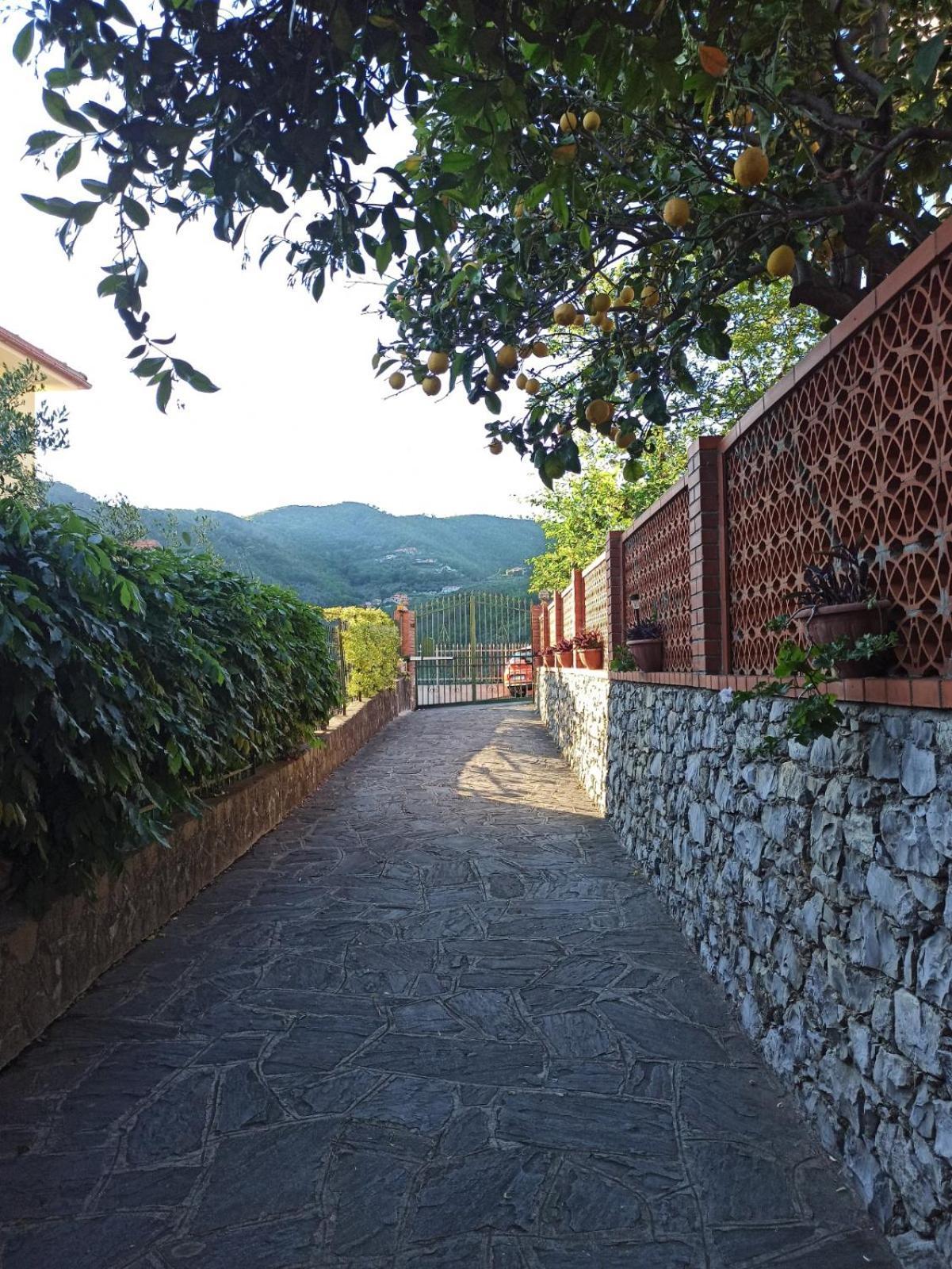 Il Glicine Cozy Appartamnent, Near Sestri Levante Between Cinque Terre E Portofino Casarza Ligure Exterior foto